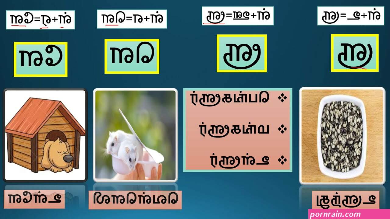 மல ய ளம வ ள ளக ச க ஸ ய க ரல ஸ ப ட ட ஸ