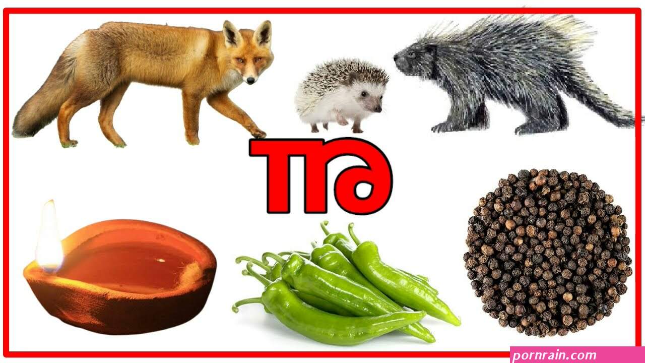மல ய ளம வ ள ளக ச க ஸ ய க ரல ஸ ப ட ட ஸ