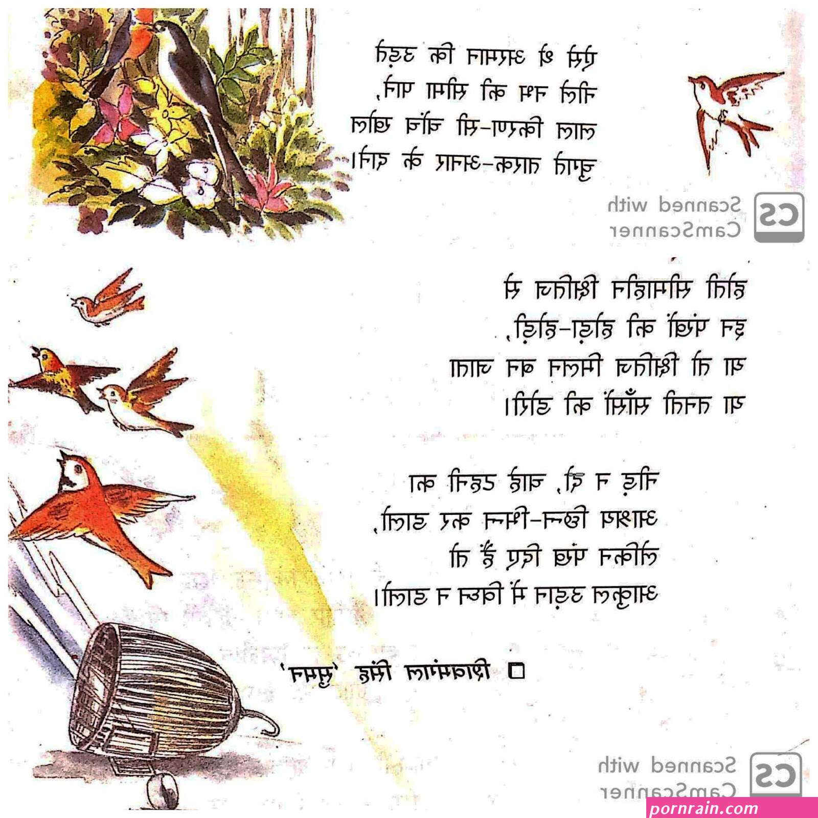 प क स त न आ ट य क न ग फ ट