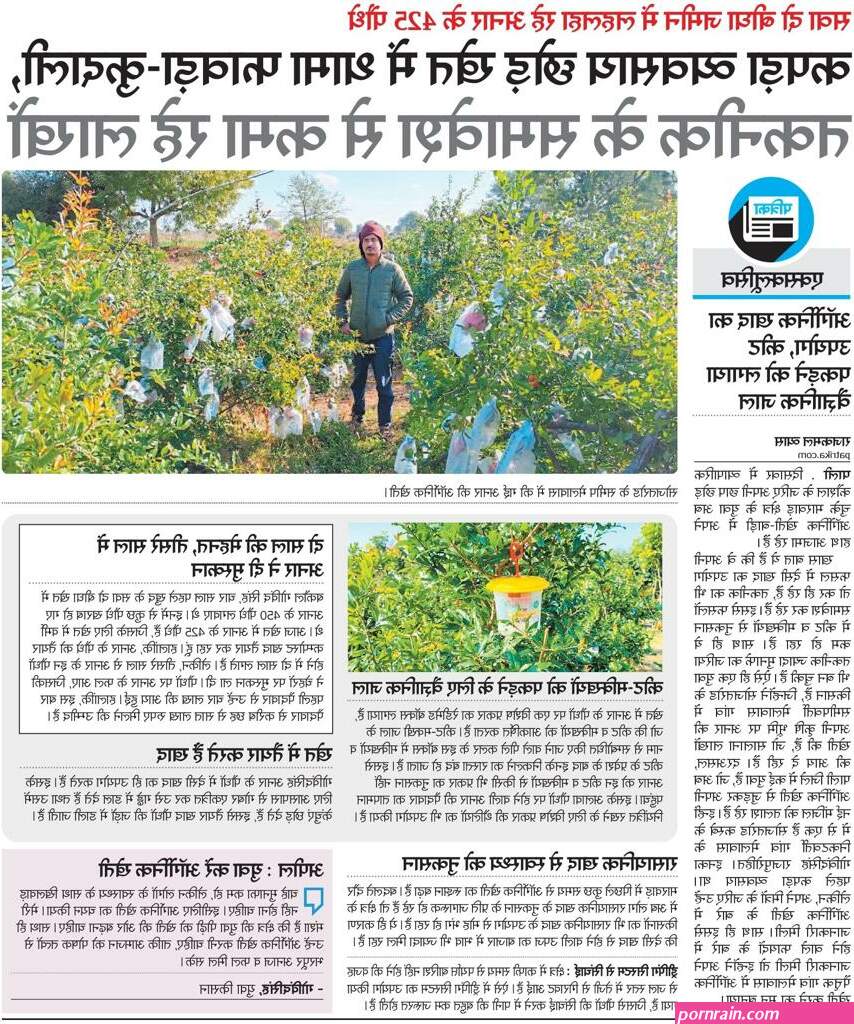 प क स त न आ ट य क न ग फ ट
