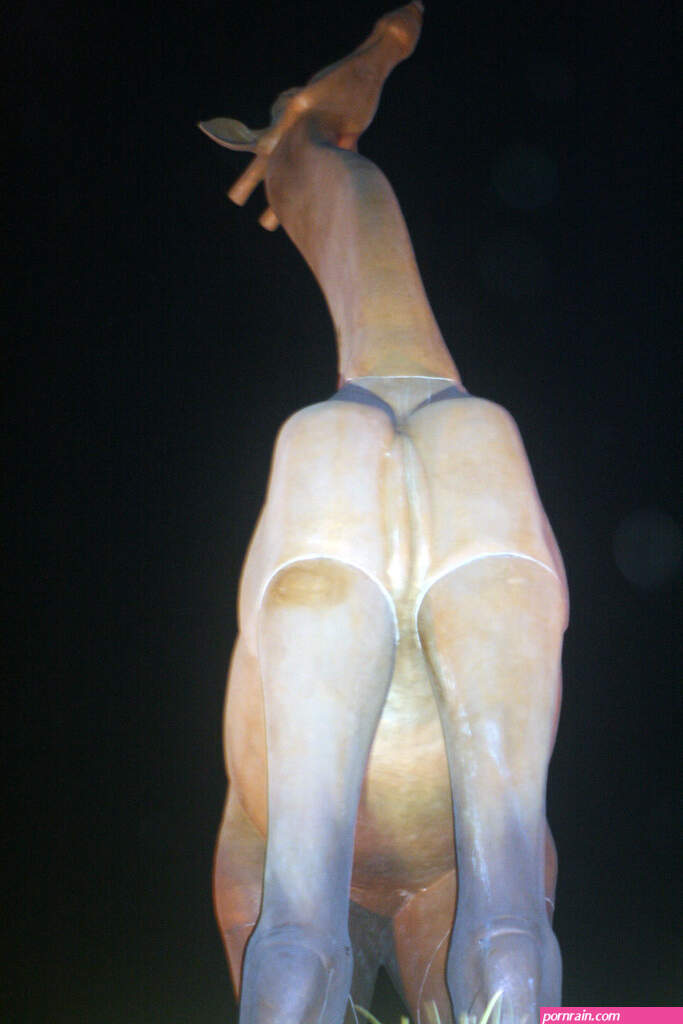 girraffe vagina pic