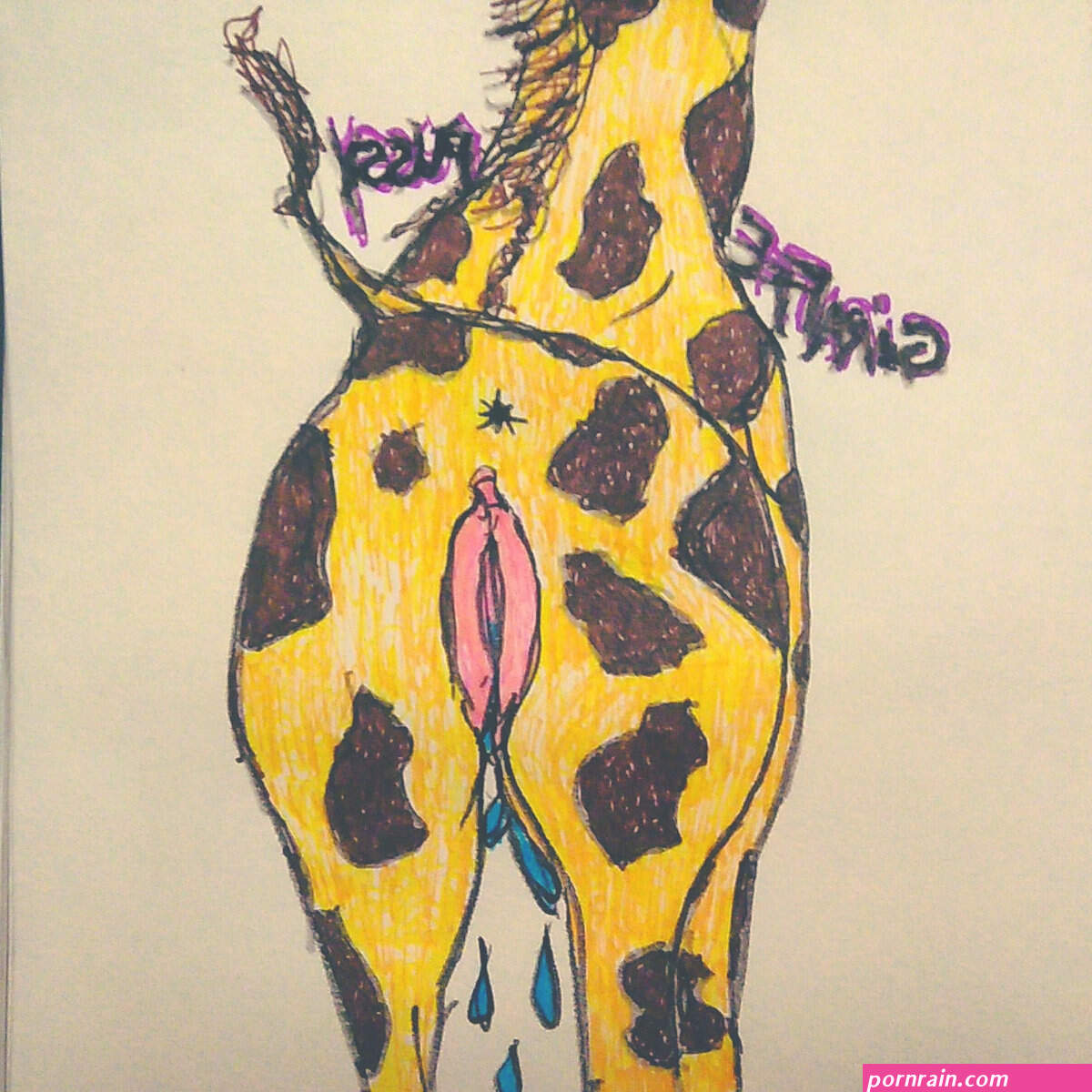 girraffe vagina pic