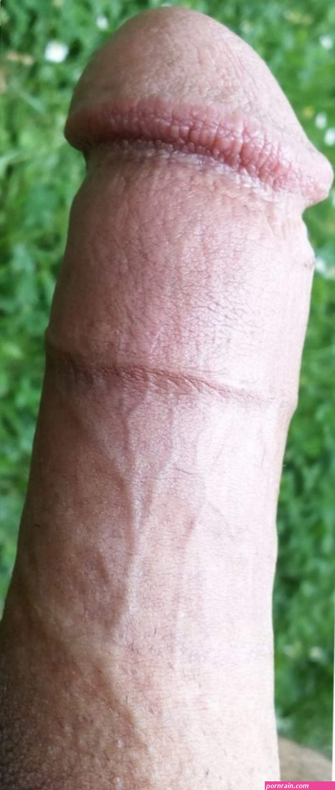 xxx penis