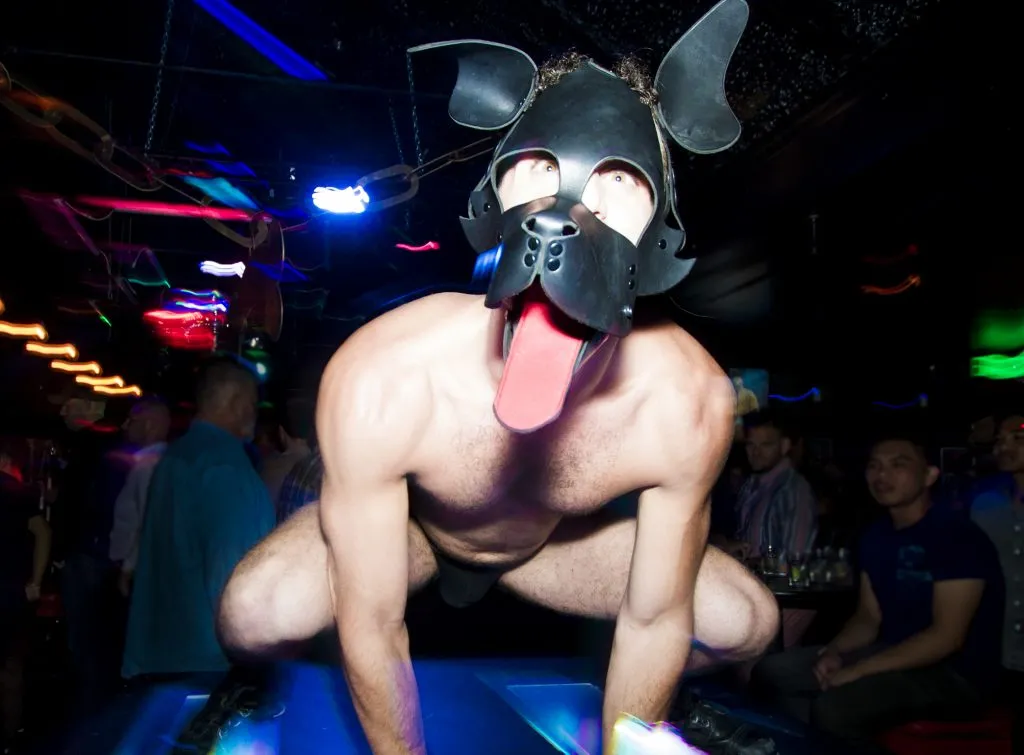puppy playtime sexo