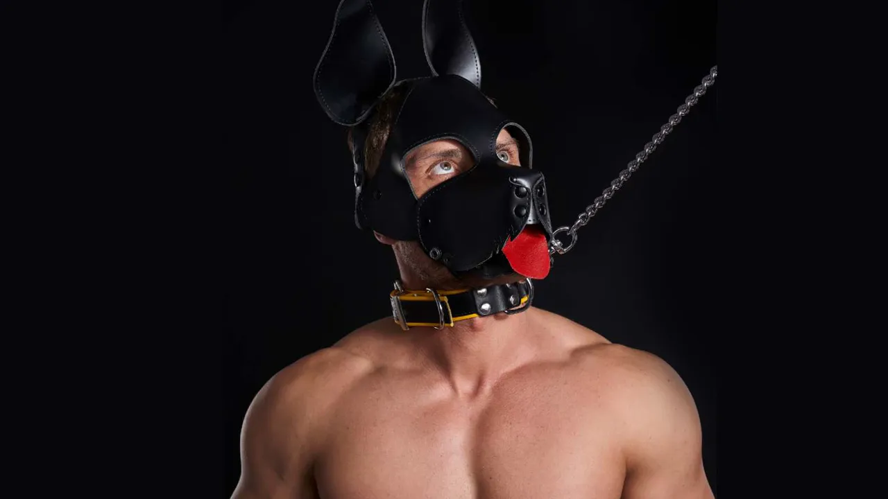 puppy playtime sexo