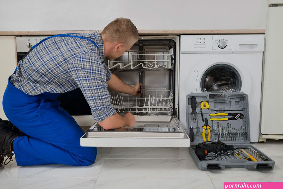 xxxporno reparateur du frigo