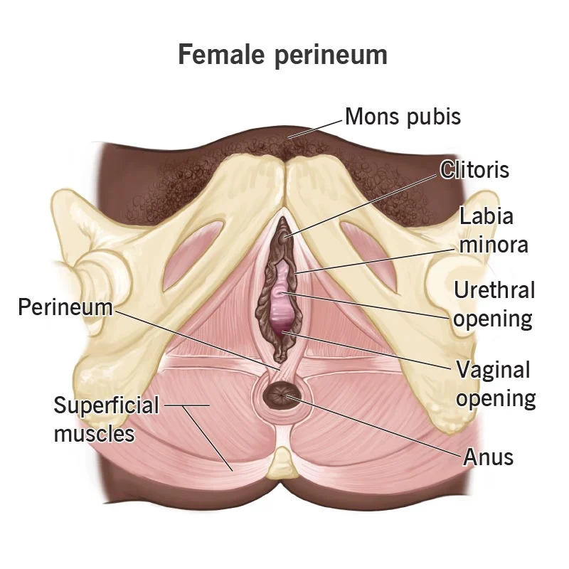 wife masanja vagina opee sexy