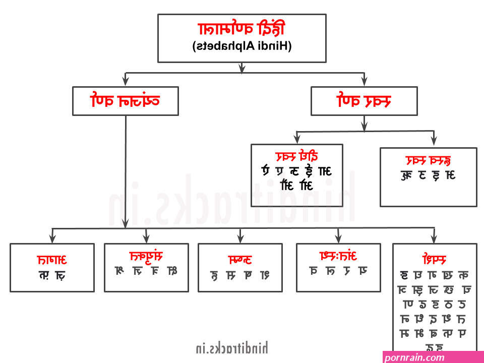 द स आ ट ह ट ब कल स