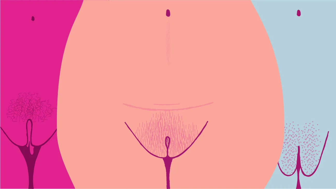 fate.gerle vagina