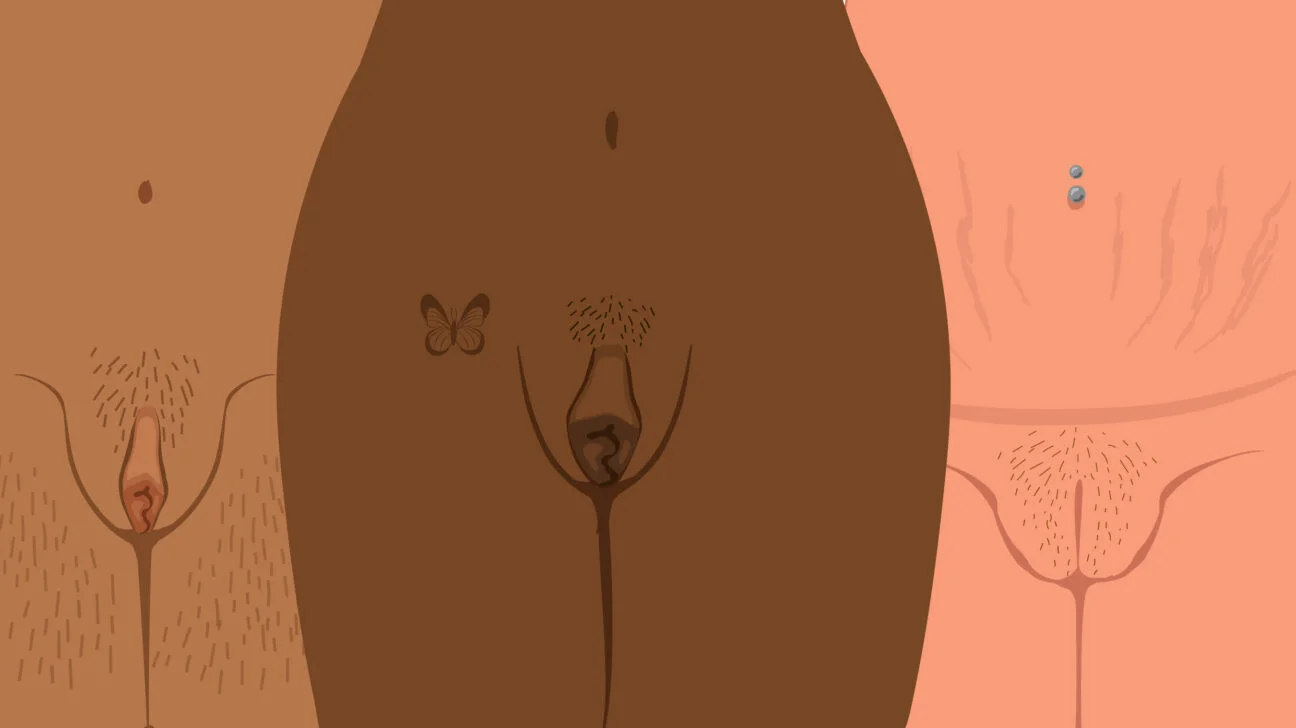 fate.gerle vagina