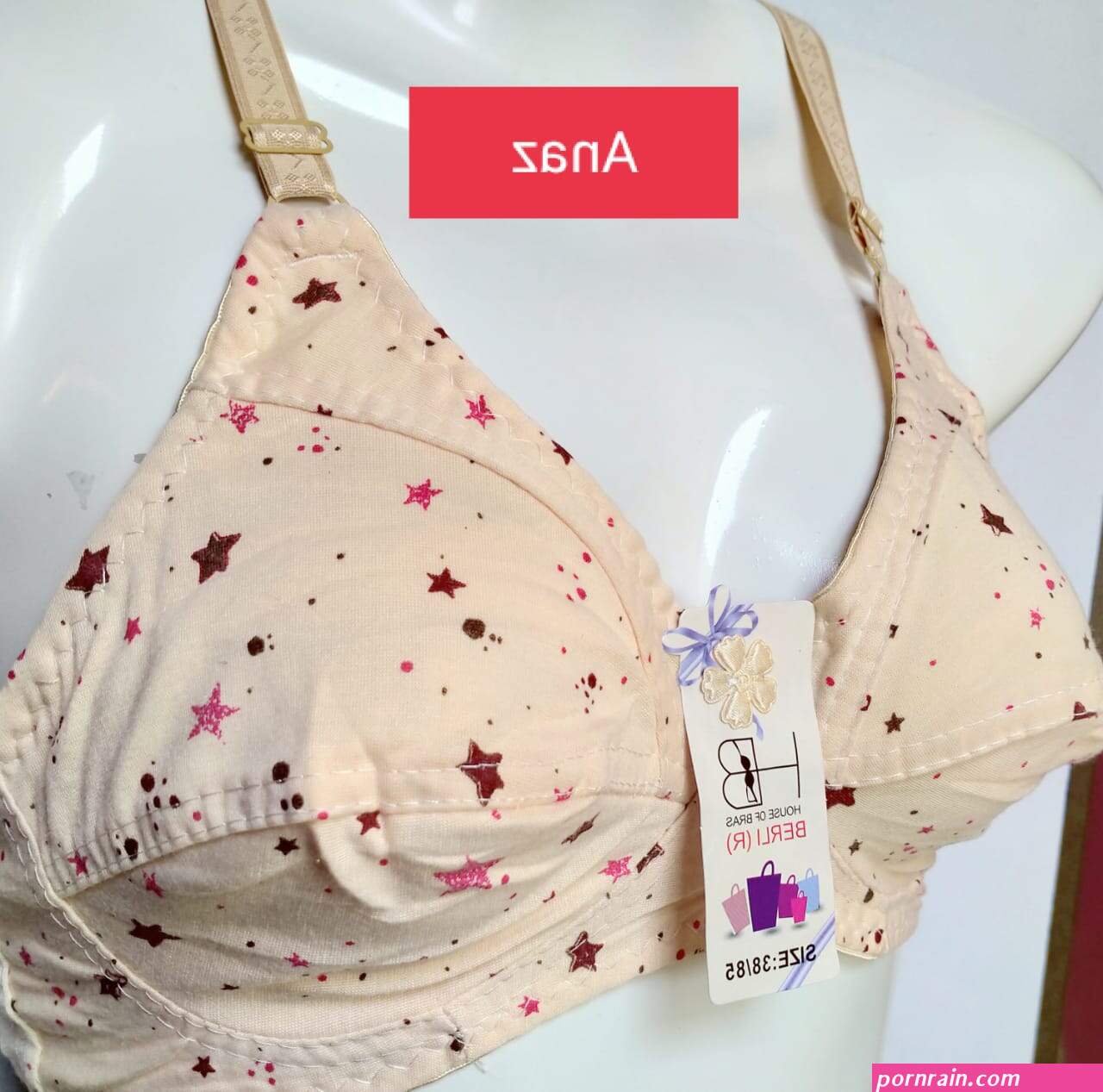 bra desi blouse photos ladies