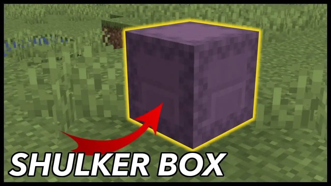 minecraft shulker hentai