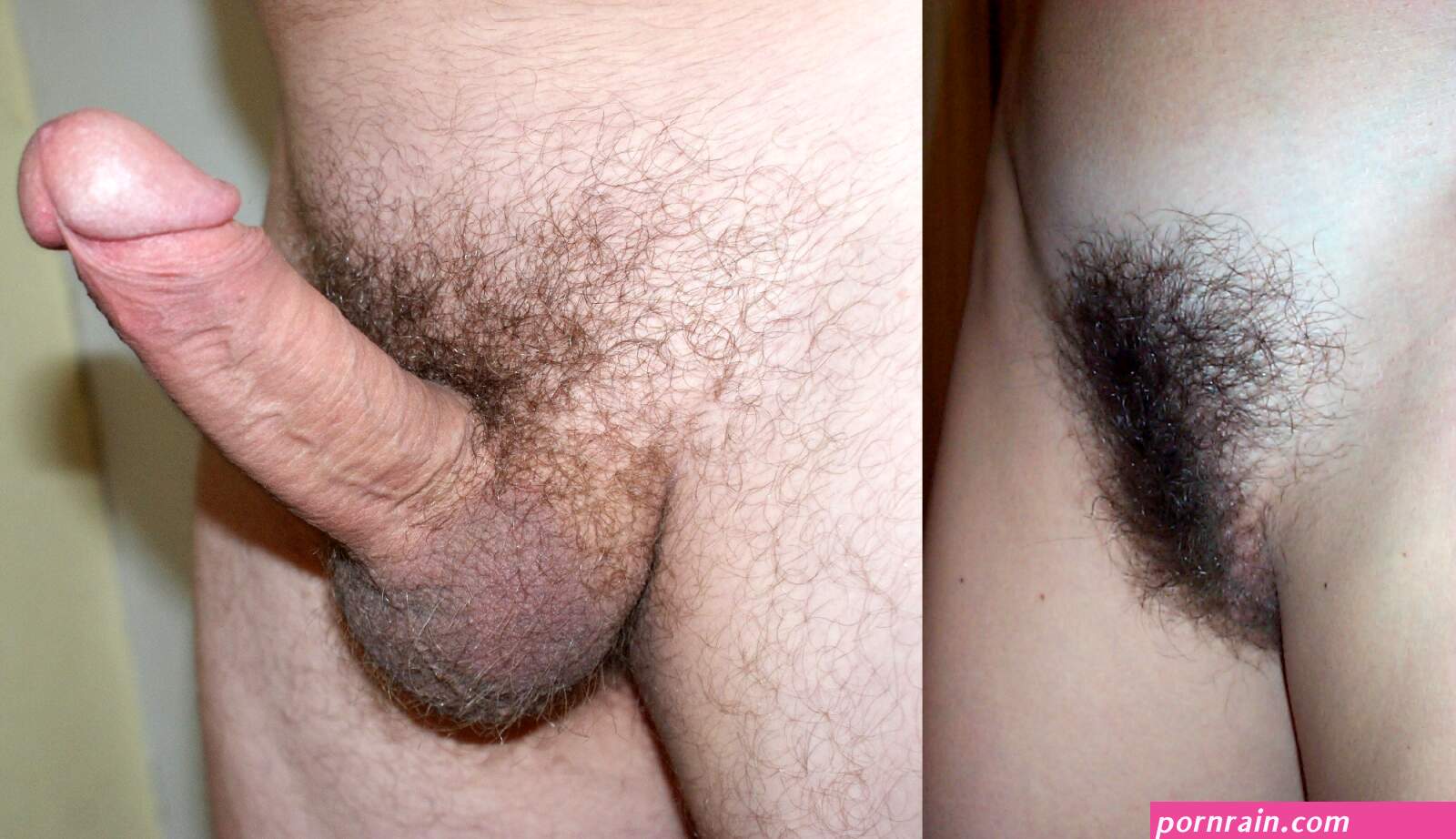 penis and vagina photo
