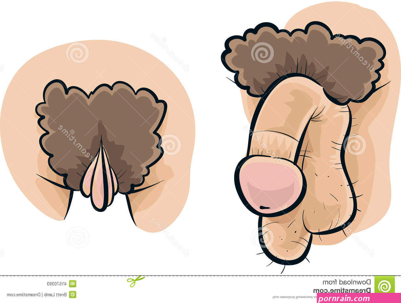 penis and vagina photo