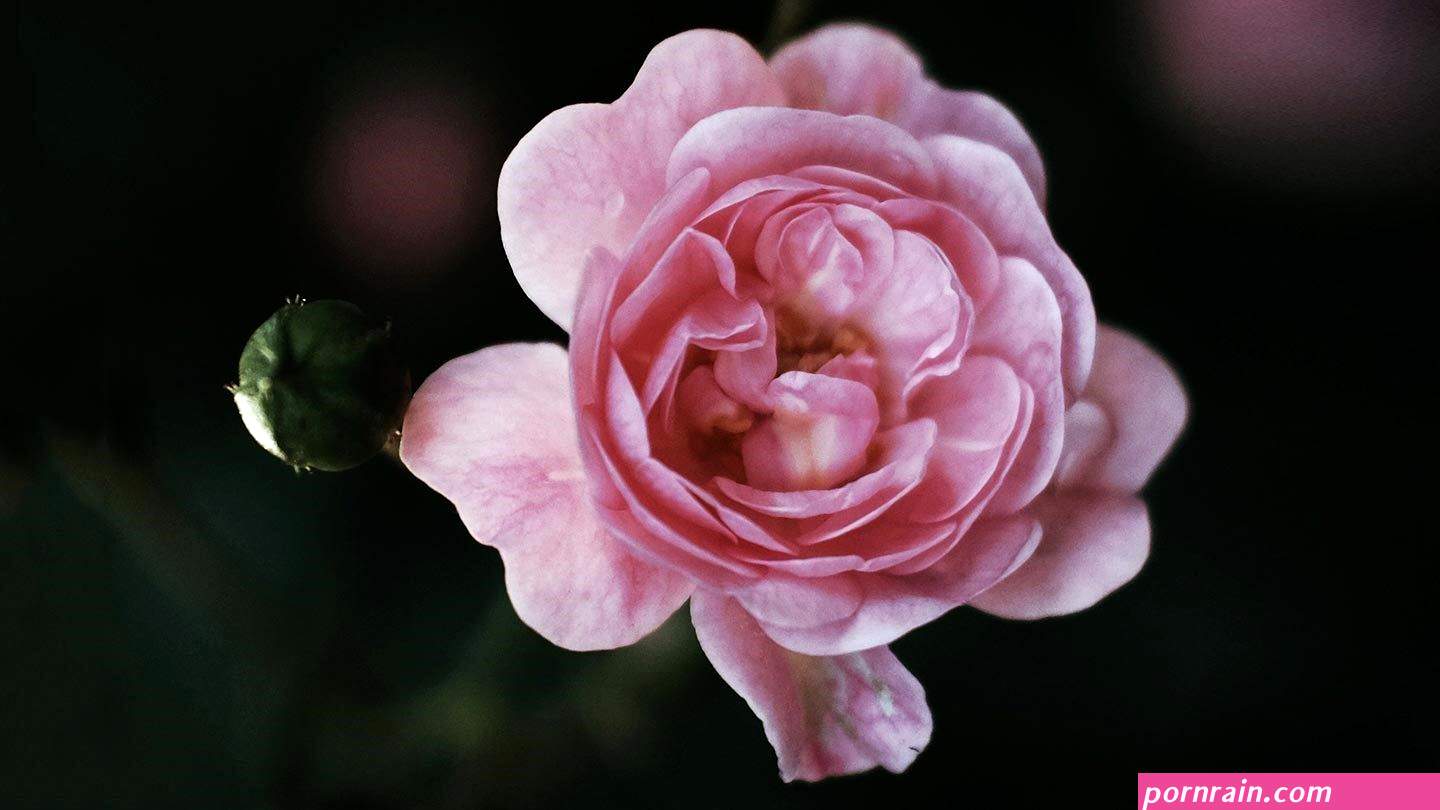 wrld black old mom very fat vagin
