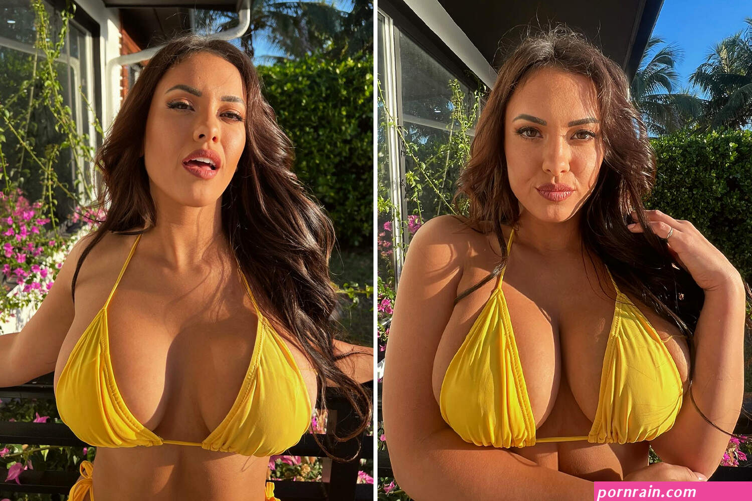 bog boobs images