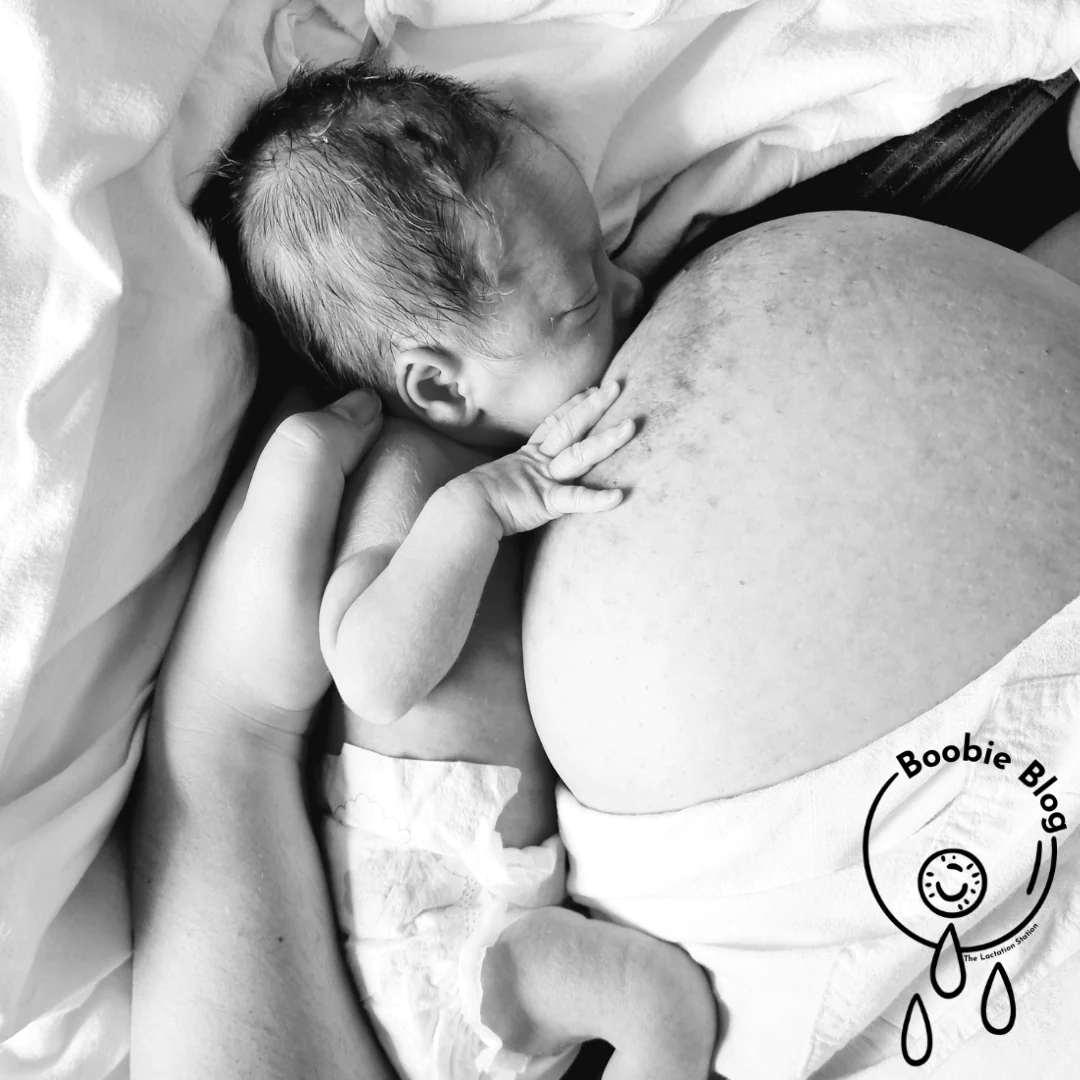 boobie blog