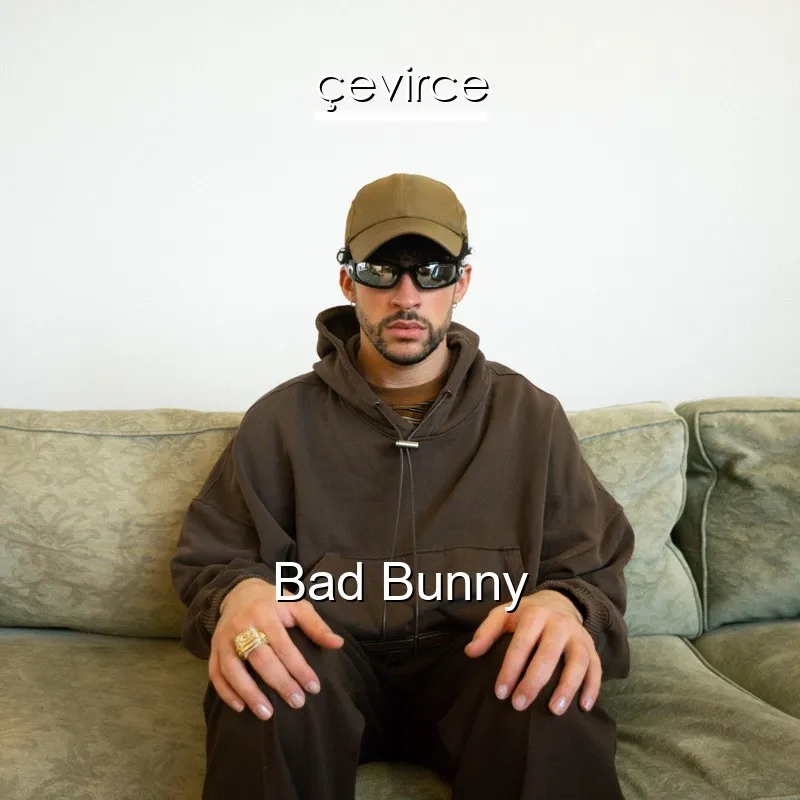 bad bunny - neverita lyrics