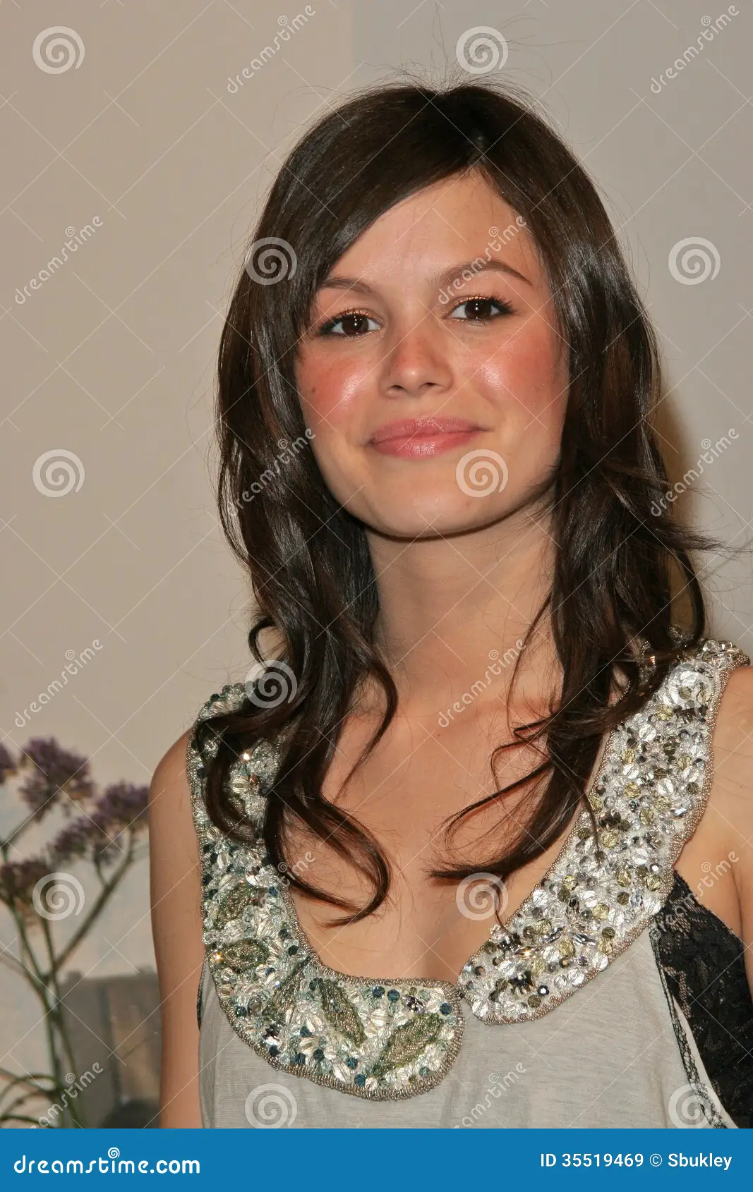 rachel bilson hot