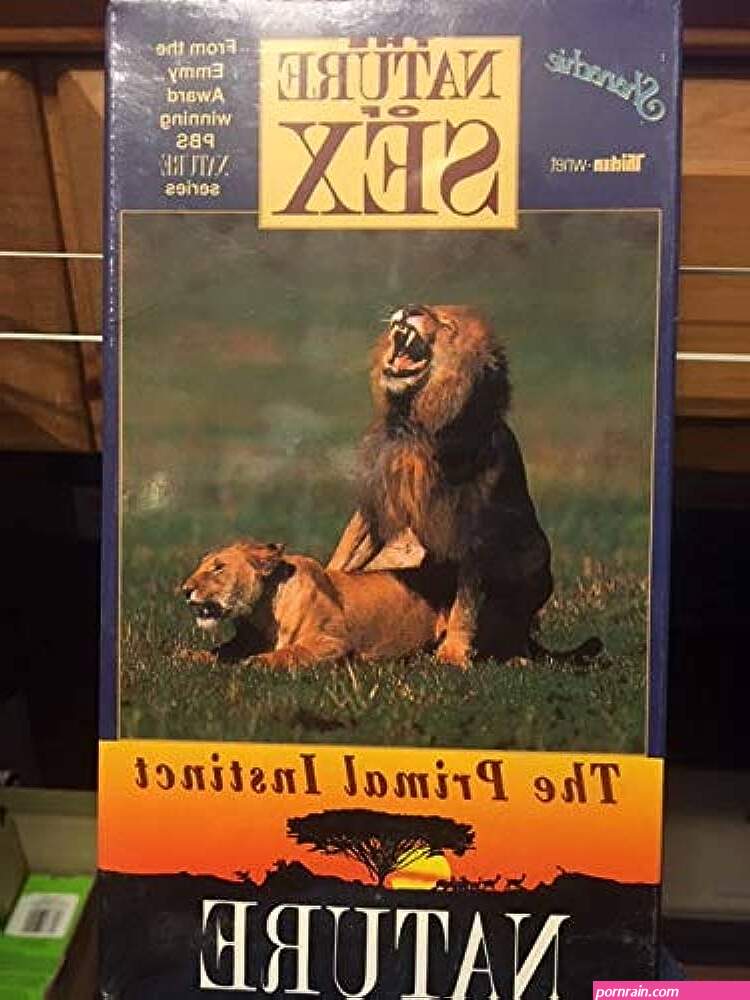 primal sex