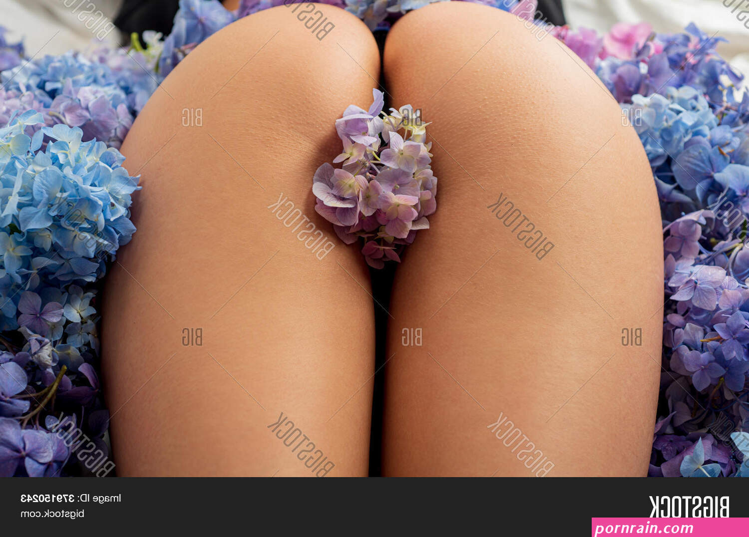 Naked Woman Buttocks. Image & Photo (Free Trial) | Bigstock