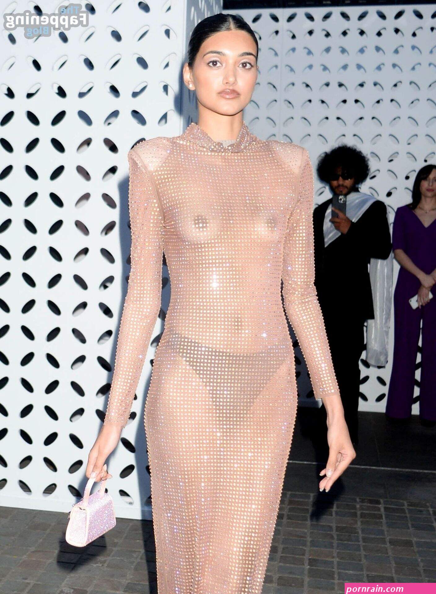 Neelam Gill Flashes Her Nude Tits in a See-Through Dress (15 Photos)