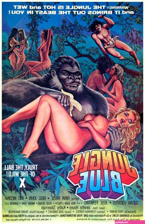 The Golden Age of Porn, the most memorable vintage adult movie posters. | Savage Thrills