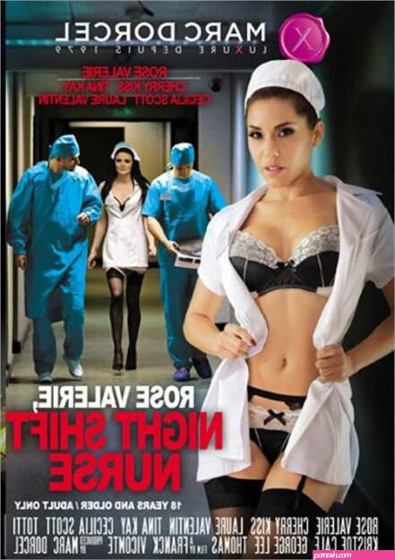 The Top 10 Best Porn Movies of 2018 (SFW)