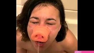 4 Pig Porn