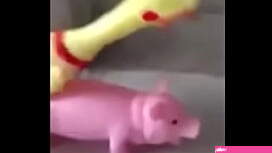 Peppa pig cartoon porn
