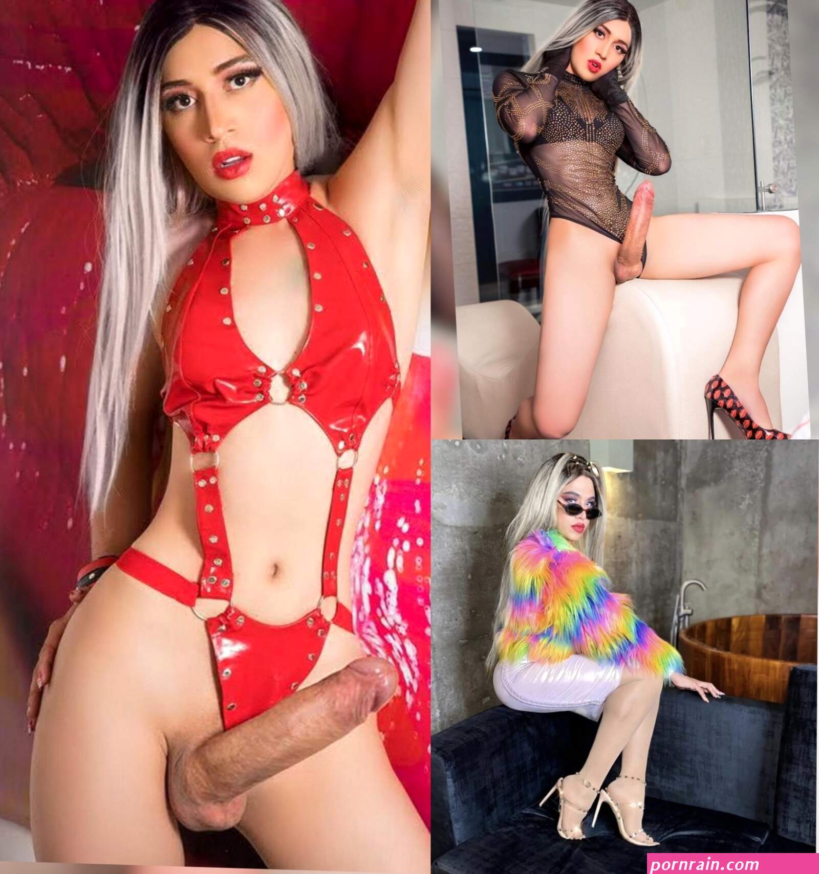 Shemale Escorts International | Anal Dream House
