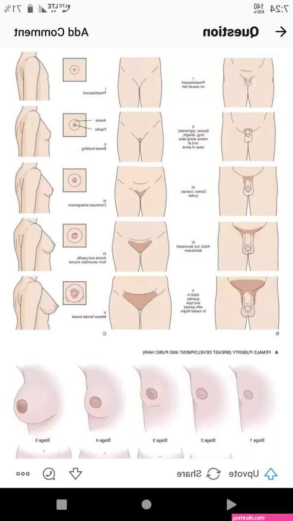 How do nipples look like?