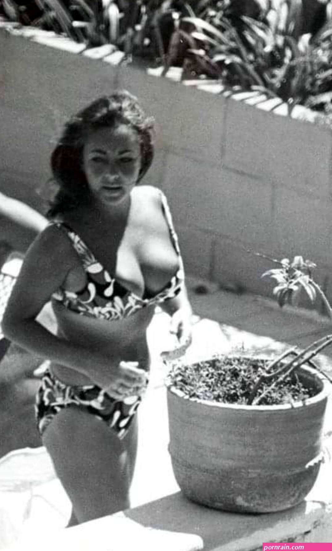 Elizabeth Taylor Nude