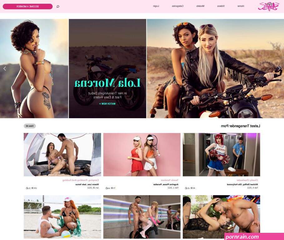 TransAngels.com