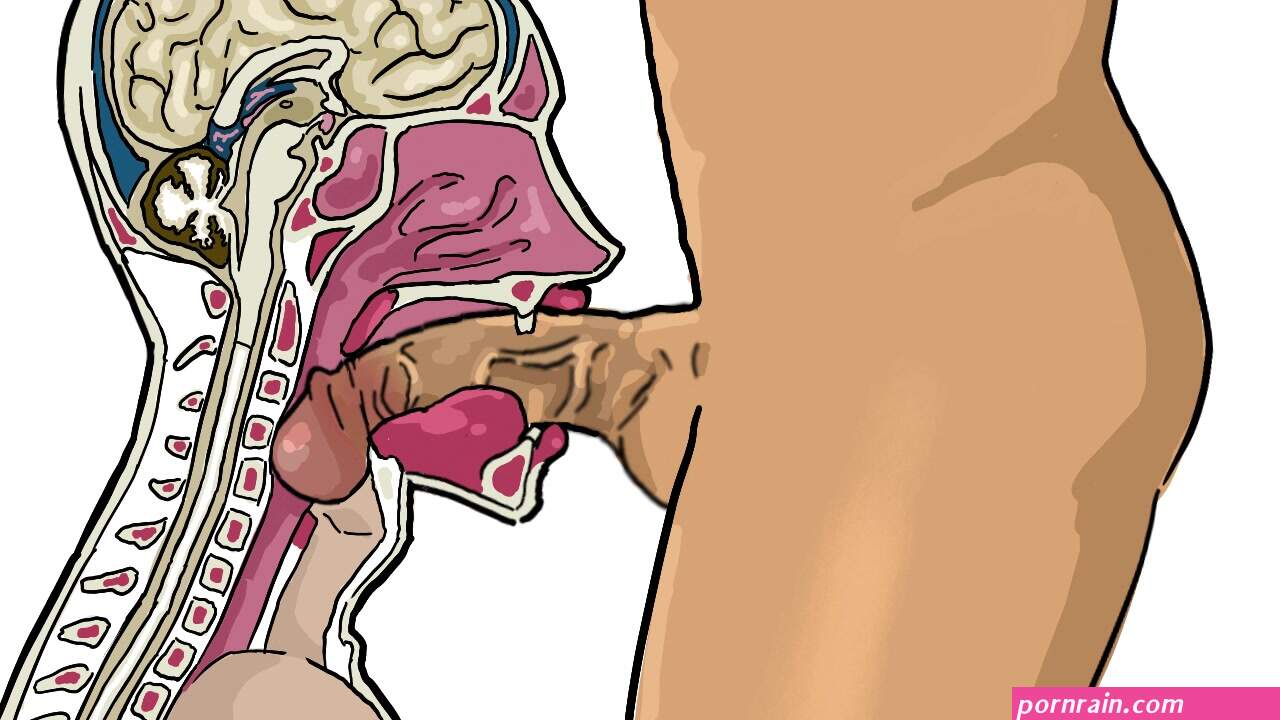 Deepthroat cross section