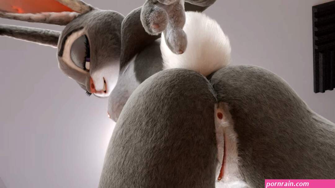 Giantess judy hopps.Canadian1579
