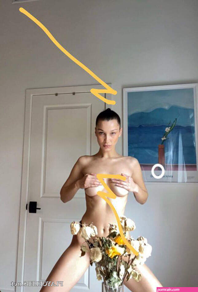 thumbs.pro : Bella Hadid Nude And See Through Photos moreView On WordPress