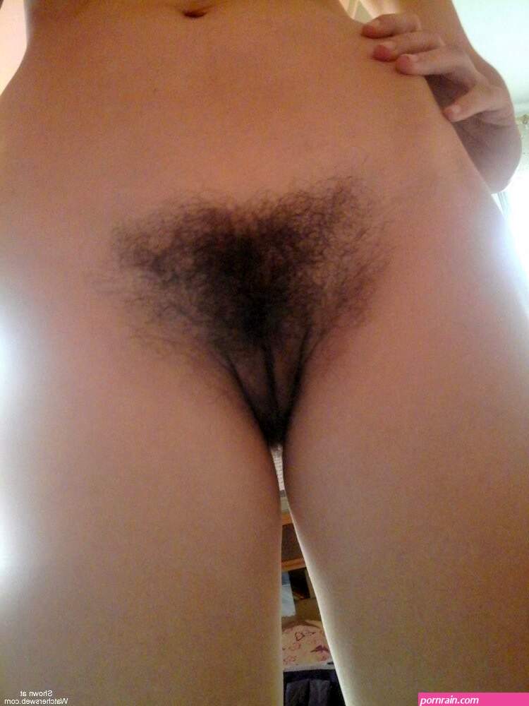 Furry Pussy