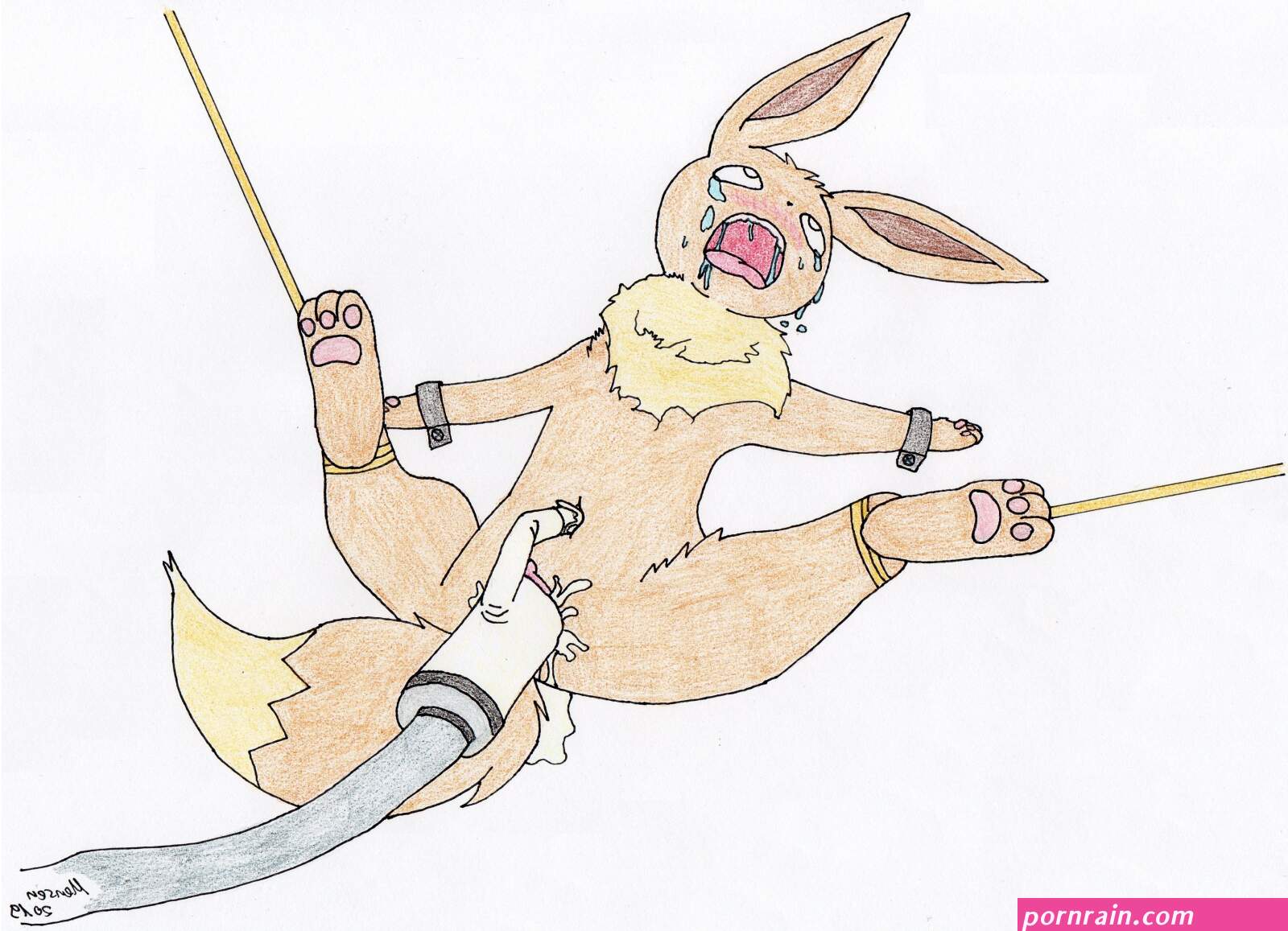 Furry Pussy Torture