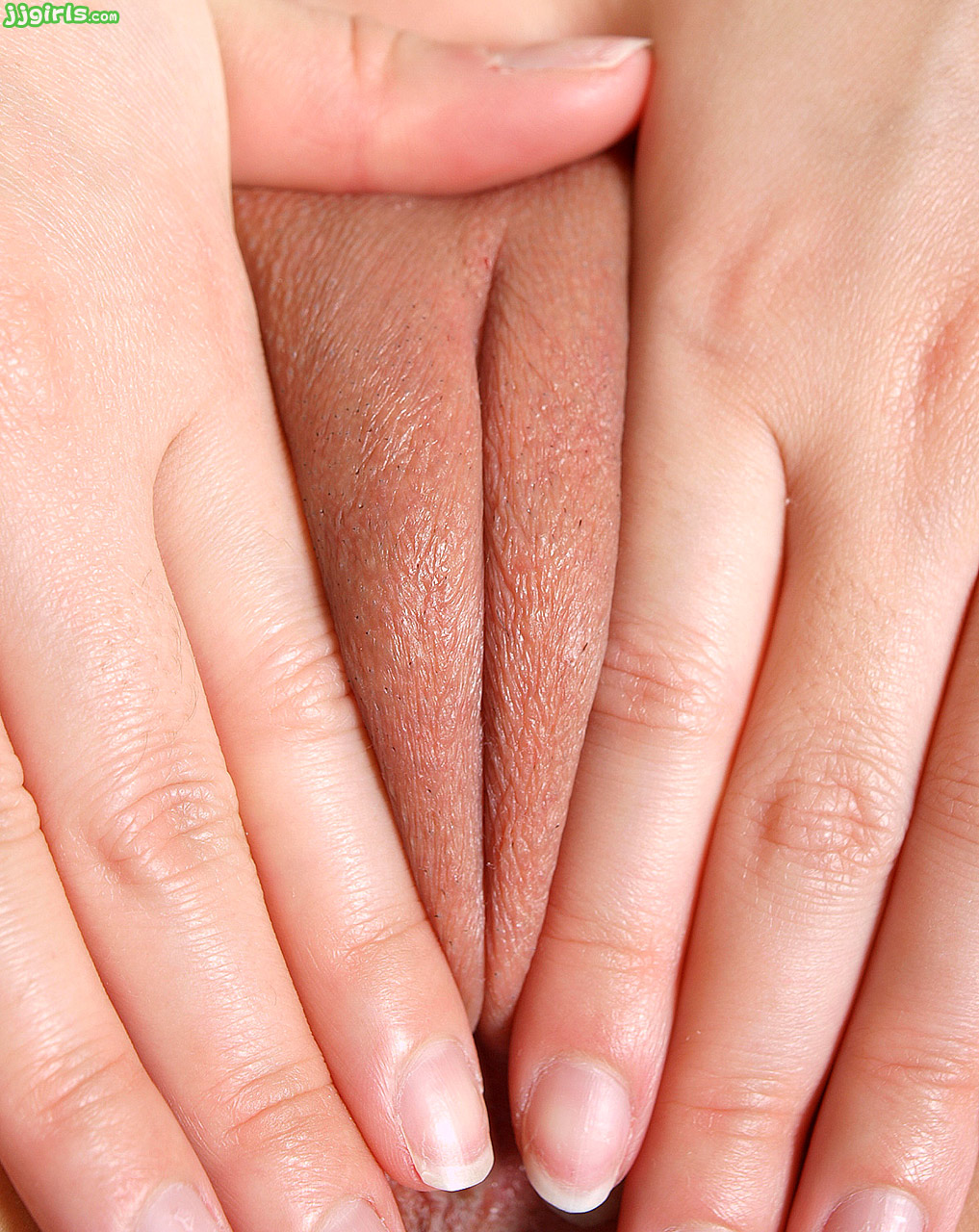 Shaved Pussy Close Up image 116832