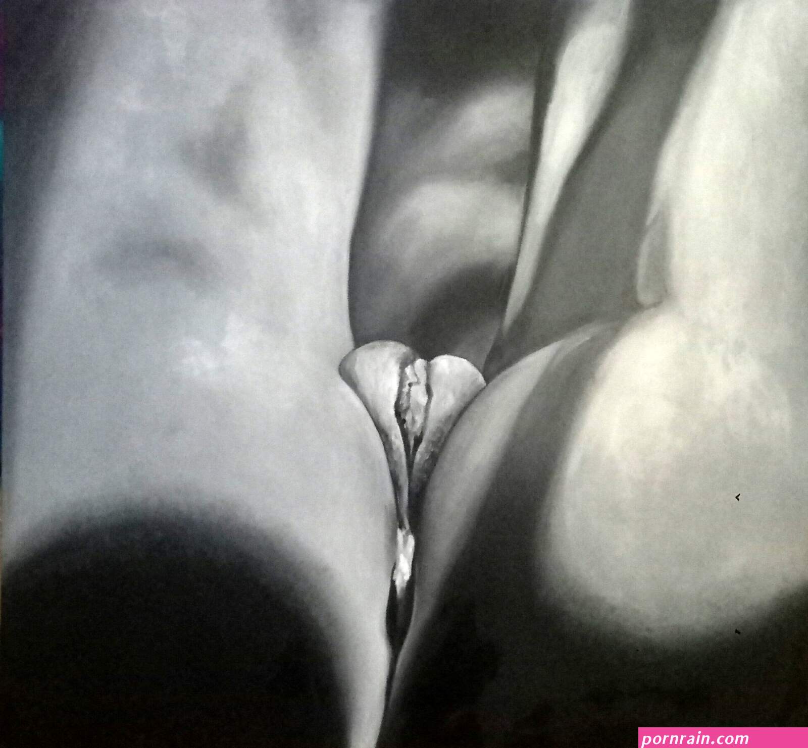 Realistic Nude Painting Vagina Art on Canvas Large Gray Erotic Art