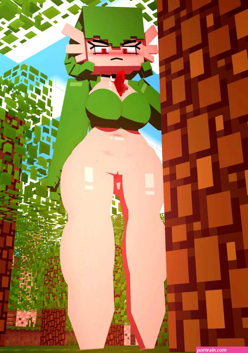 Minecraft Xxx Art