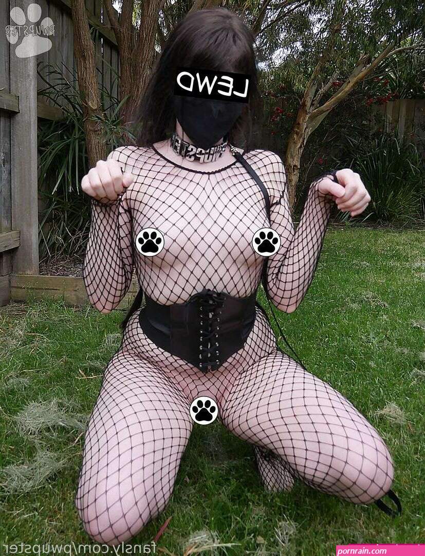 Pwupster Photos 1 Gallery