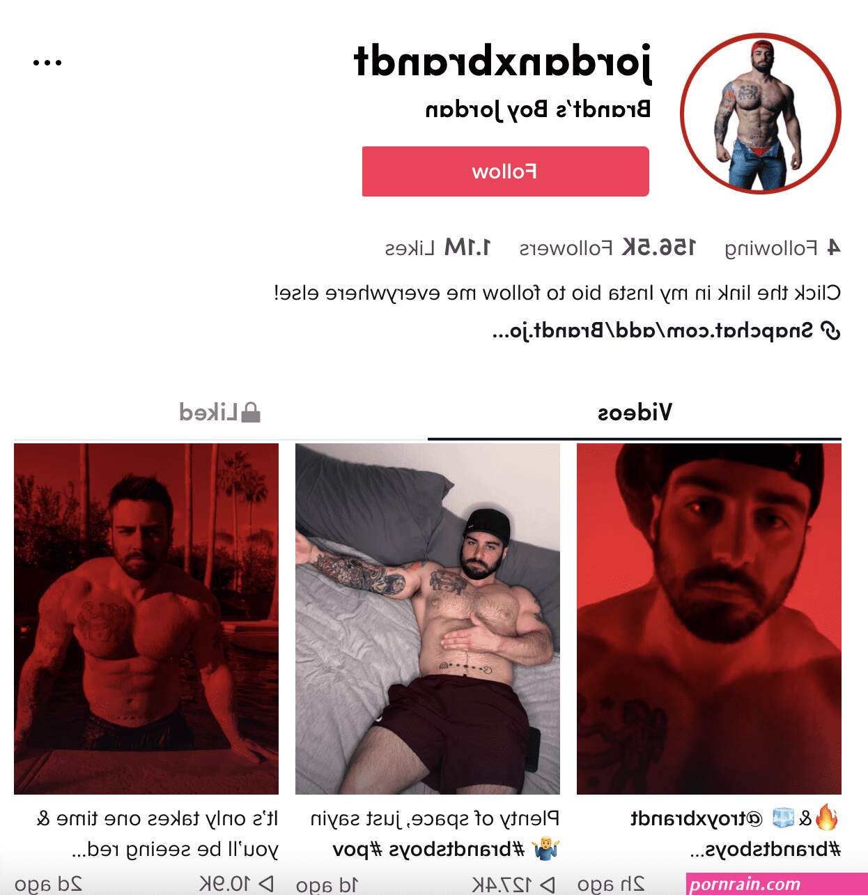 Enormous Porn Stars on Gay TikTok