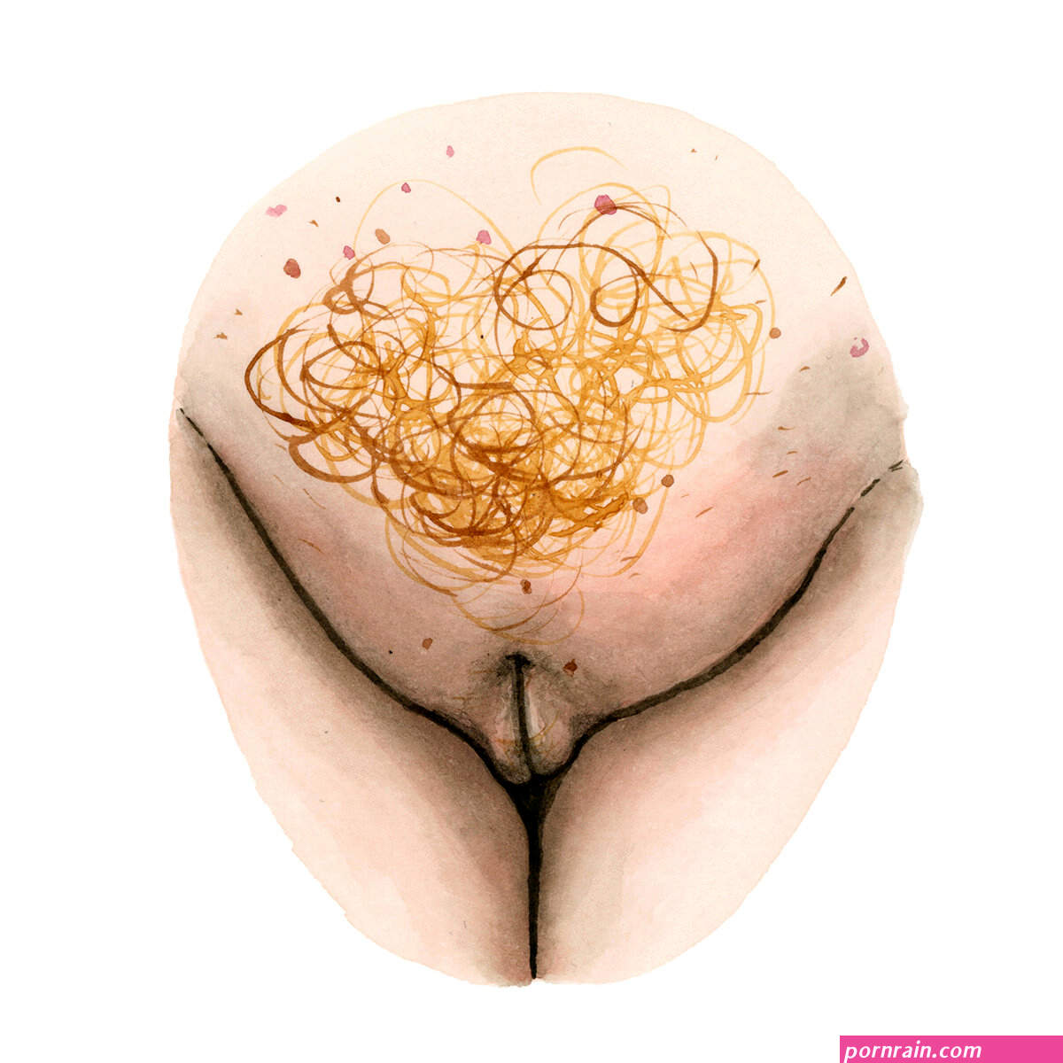 Pubic hair stories The Vulva Gallery