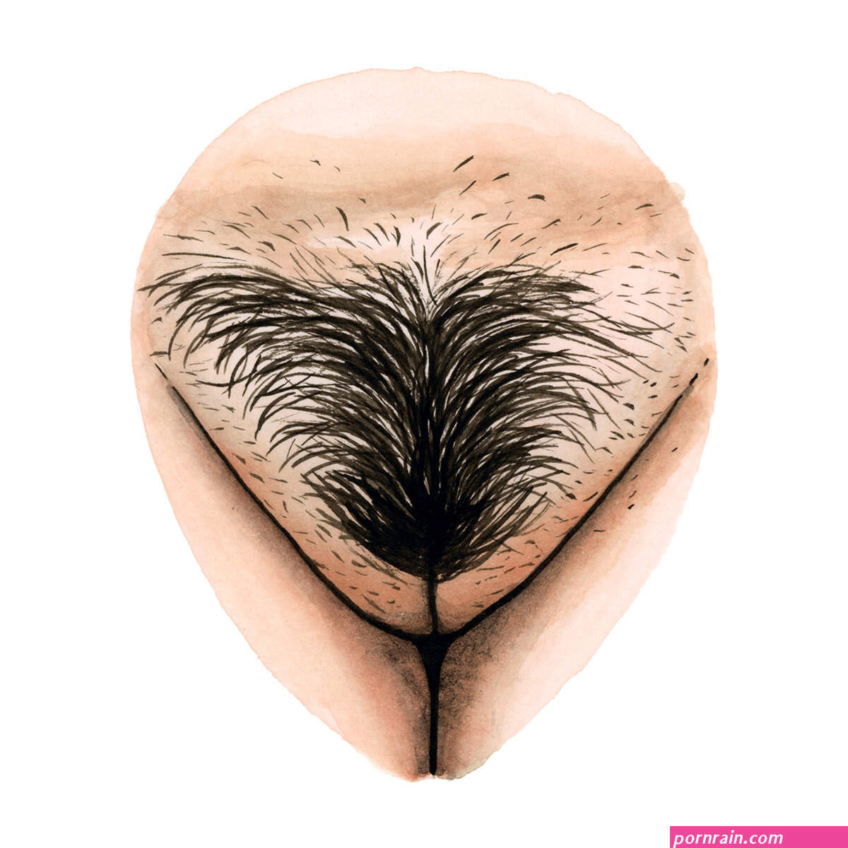 Pubic hair stories The Vulva Gallery