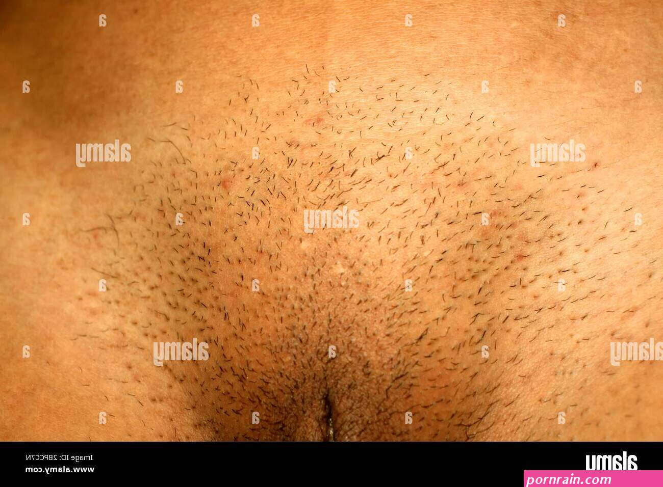 Pubes hi-res stock photography and images