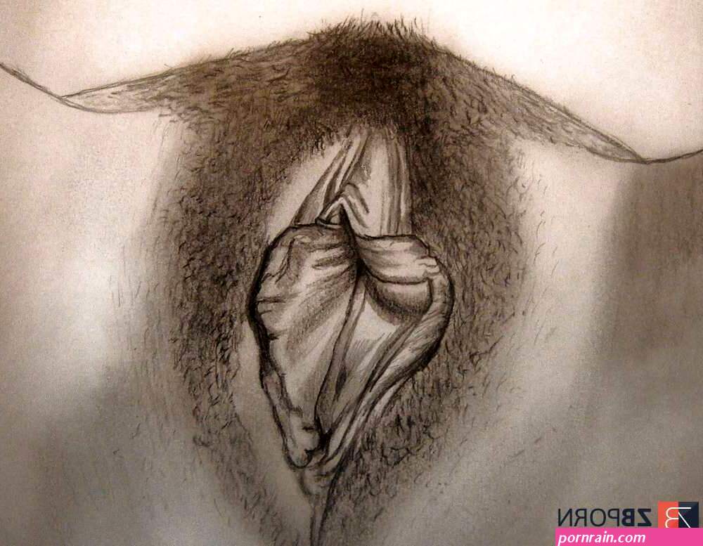 my porn drawing