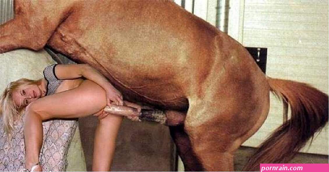 Sex girl vs donkey. Porn tube.