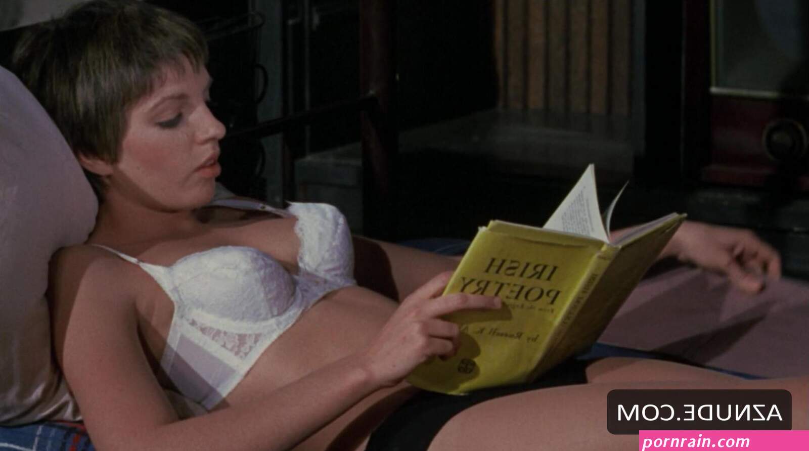 LIZA MINNELLI Nude